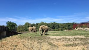 ZOO Lešná