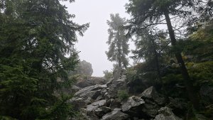 Heřmanovice - Příčný vrch - Táborské skály - Dolní Údolí