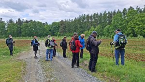 Pohořany - Strom splněných přání - Cesta světla - Bělkovice-Lašťany