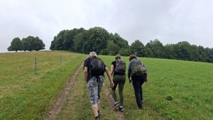 Kobylá nad Vidnavkou - Mojmírův rybník - Lánský vrch - Žulová