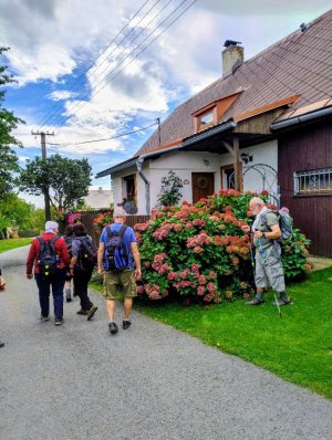Tvrdkov - Souborem lesních bytostí - Ruda