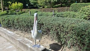 ZOO Lešná