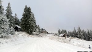 Ovčárna - Temná - Kapličkový vrch - Malá Morávka