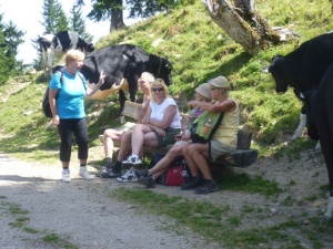 hora Zwölferhorn