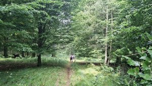 Úsov - Litovelské Pomoraví - Doubrava - Moravičany