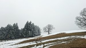 Písařovské sedlo - Spálenisko - Kocanda
