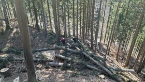 Jindřichov - zřícenina hradu Pleče - Hanušovice