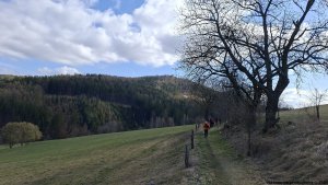 Olšany - Bartoňov - Radomilov - Kostelíček - Šumperk