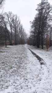 Ze ŠUMPERSKÉ ZIMNÍ 50. FOTO Vojta Krejčí a Pepa Vašát