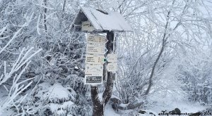 Ovčárna - Temná - Kapličkový vrch - Malá Morávka