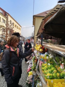 Z vycházky NS Údolí sejfů. Vedl Vladimír Prokop, foto Zd. Přikrylová, An. Flašarová a Vl. Prokop