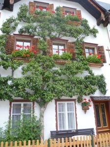 Hallstatt – město Hallstatt na jezeře Hallstattsee
