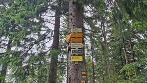 Vysoké Žibřidovice - Cibulka - Sviní hora - Vojtíškov - Podlesí