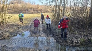 Šumperská zimní 50 - Hrabišín - Brníčko - Postřelmov