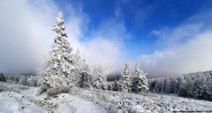 Ovčárna - Temná - Kapličkový vrch - Malá Morávka