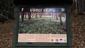 Z vycházky NS Údolí sejfů. Vedl Vladimír Prokop, foto Zd. Přikrylová, An. Flašarová a Vl. Prokop