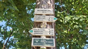 Krnov - Cvilín - zřícenina hradu Šelenburk - rozhledna Hanse Kudlicha - Úvalno