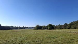Pohansko