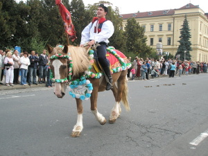 V průvodu kráčeli koně, ...