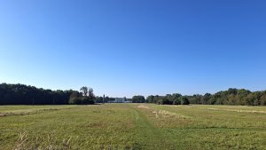 Pohansko