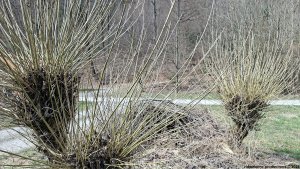 Pohořany - Teplá díra - Bělkovické údolí - Bělkovice-Lašťany
