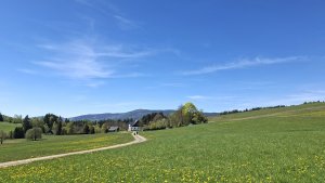 Červená Voda - Křížová hora - Moravský Karlov - Zašívárna - Písařov
