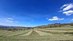 Šumperk - Velké Losiny - Přemyslov - Pekařov - Šumperk
