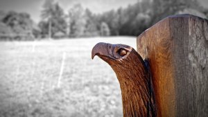 Tančírna II. - Loučná nad Desnou - Velké Losiny