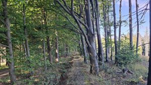 Vápenice - Mikulčin vrch - Malý Lopeník - Veľký Lopeník - Lopeník