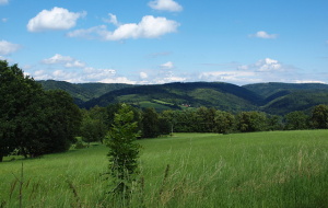Nad údolím Bystřice.