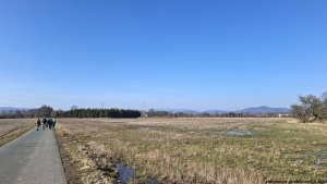 Šumperská zimní 50 - Hrabišín - Brníčko - Postřelmov
