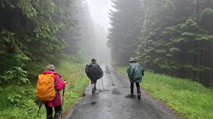Vysoké Žibřidovice - Cibulka - Sviní hora - Vojtíškov - Podlesí