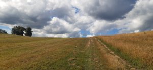 Kopřivná - Štolnava - Velké Losiny