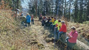 Jindřichov - zřícenina hradu Pleče - Hanušovice