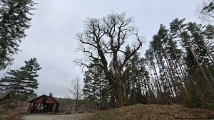 Velká Kraš - Annín - Kobylá - Venušiny misky - Smolný vrch - Boží hora - Žulová