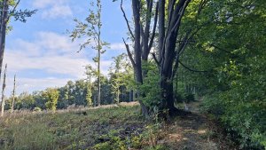 Vápenice - Mikulčin vrch - Malý Lopeník - Veľký Lopeník - Lopeník