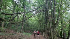 Luhačovice – okruh Dušana Jurkoviče