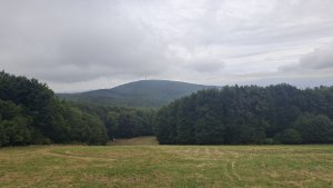 Javořina - Velká Javořina - Holubyho chata - Květná