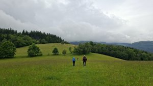 Vysoké Žibřidovice - Cibulka - Sviní hora - Vojtíškov - Podlesí