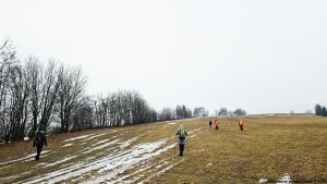 Písařovské sedlo - Spálenisko - Kocanda