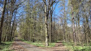 Moravičany - CHKO Litovelské Pomoraví - Střelice