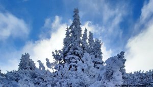 Ovčárna - Temná - Kapličkový vrch - Malá Morávka