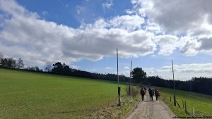 Olšany - Bartoňov - Radomilov - Kostelíček - Šumperk