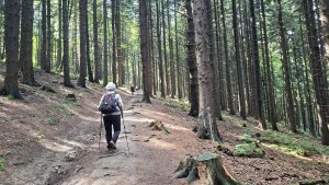 Vápenice - Mikulčin vrch - Malý Lopeník - Veľký Lopeník - Lopeník
