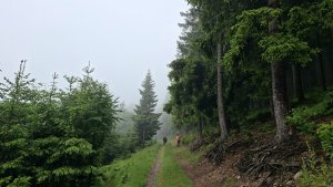 Vysoké Žibřidovice - Cibulka - Sviní hora - Vojtíškov - Podlesí
