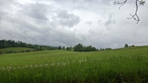 Lesní zážitková NS - Komňátka - štola Mařka – Bohdíkov - Komňátka