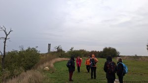 Rajhrad - Židlochovice - rozhledna Akátová věž - Blučina