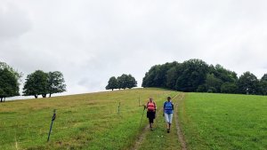 Kobylá nad Vidnavkou - Mojmírův rybník - Lánský vrch - Žulová