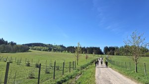Červená Voda - Křížová hora - Moravský Karlov - Zašívárna - Písařov