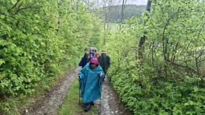 Lesní zážitková NS - Komňátka - štola Mařka – Bohdíkov - Komňátka